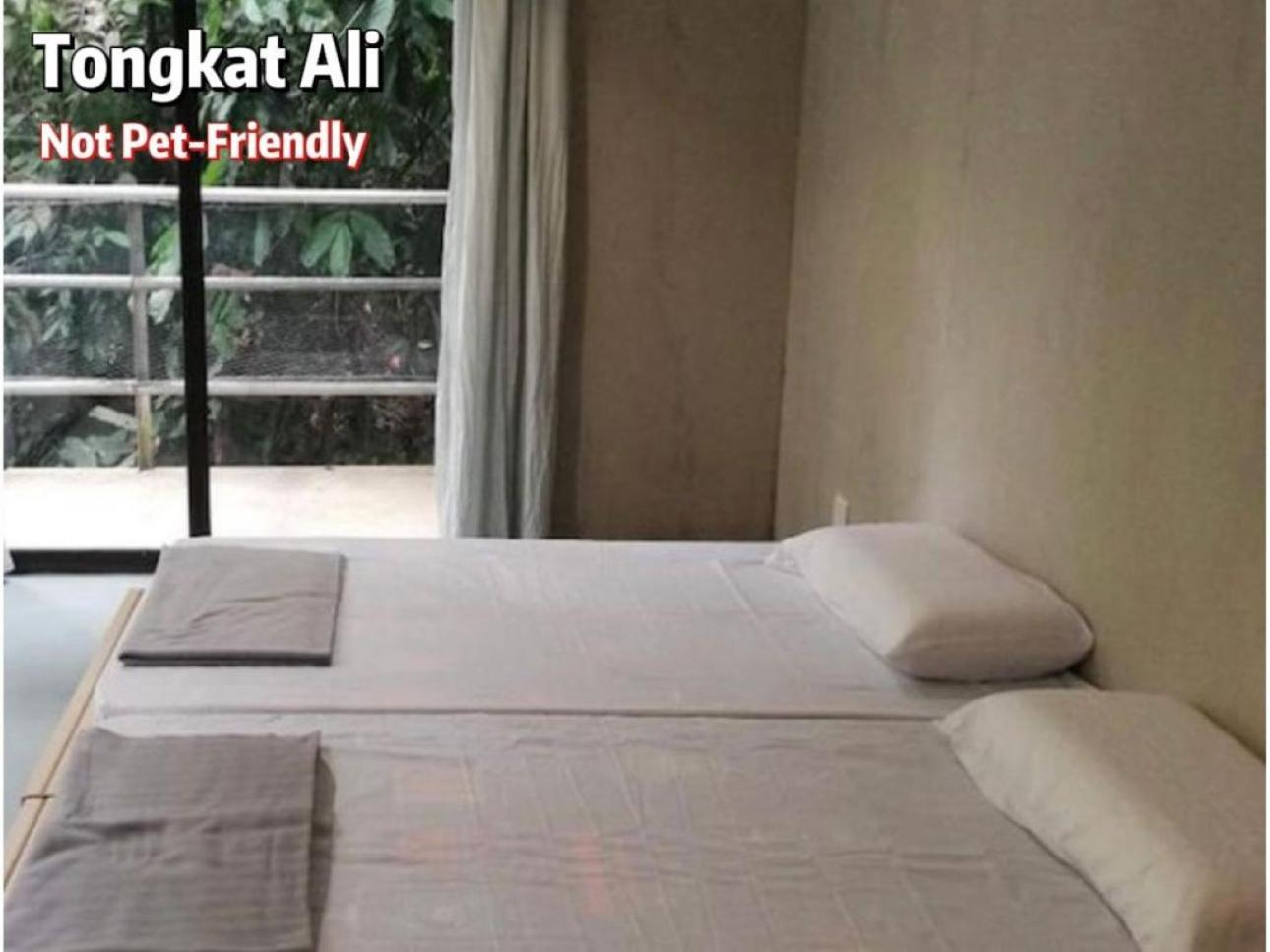 Gibbon Retreat Bentong Hotell Exteriör bild