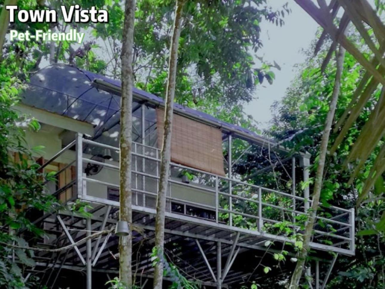Gibbon Retreat Bentong Hotell Exteriör bild