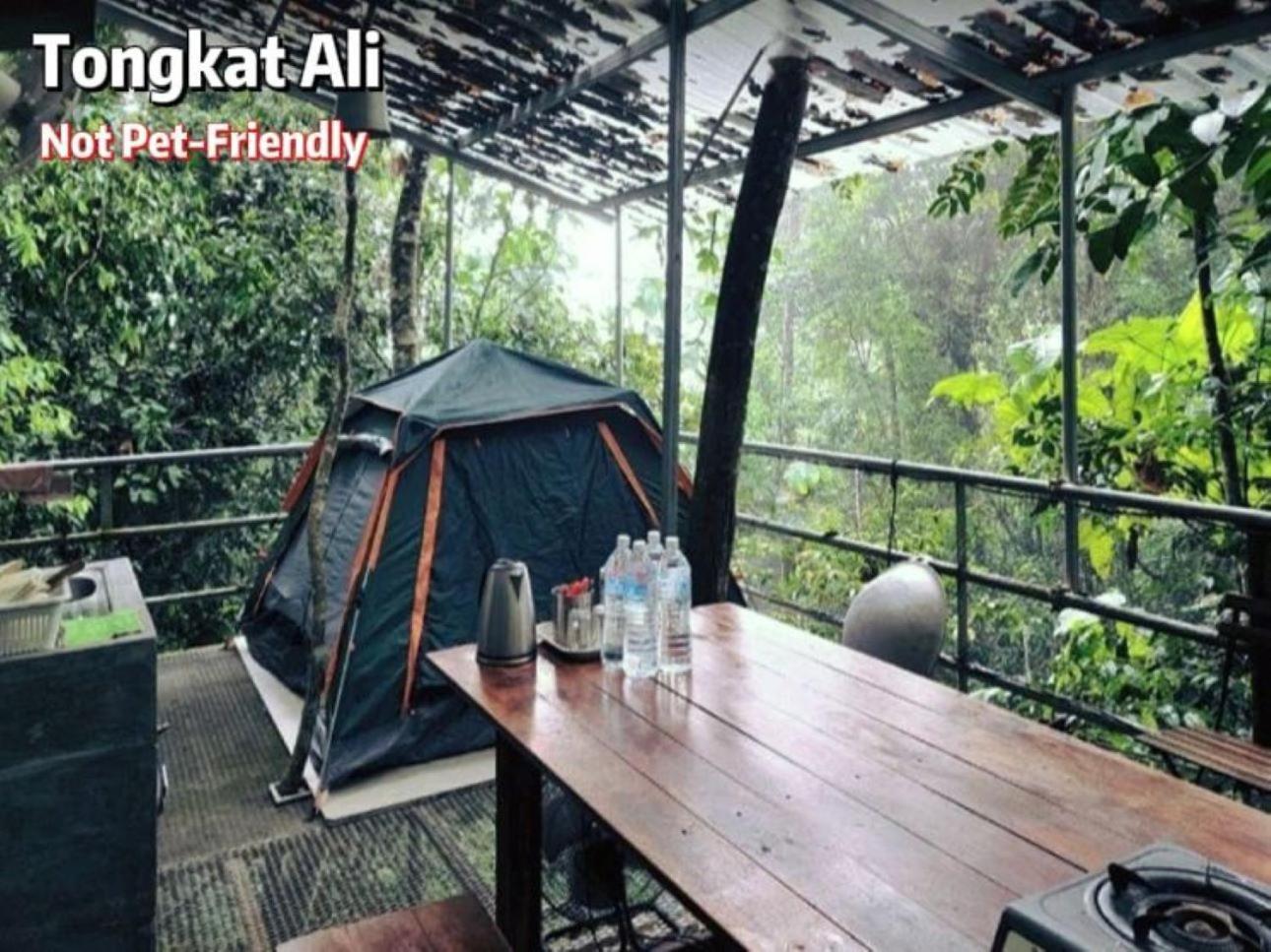 Gibbon Retreat Bentong Hotell Exteriör bild