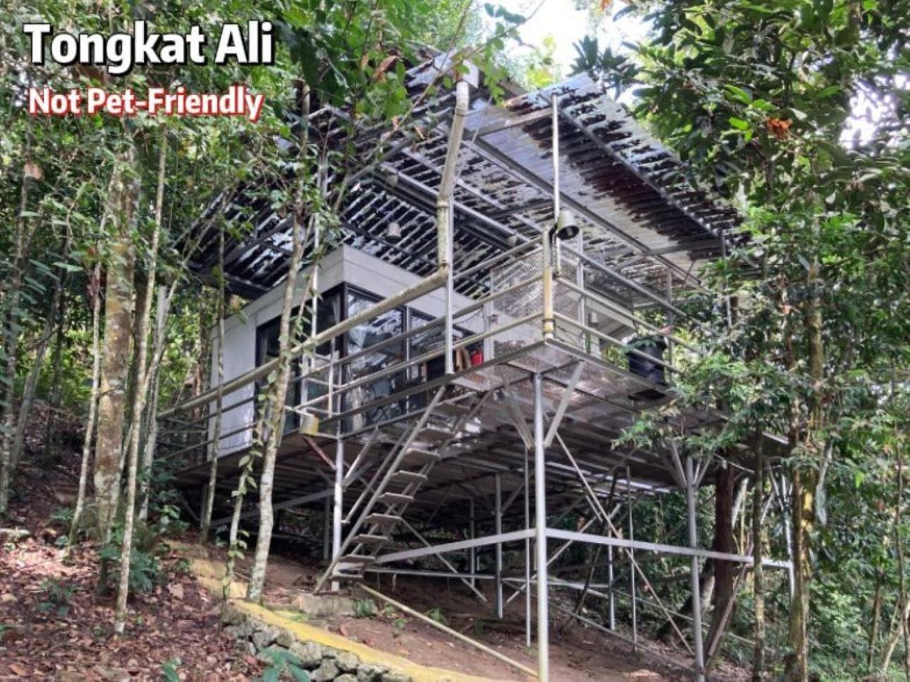 Gibbon Retreat Bentong Hotell Exteriör bild